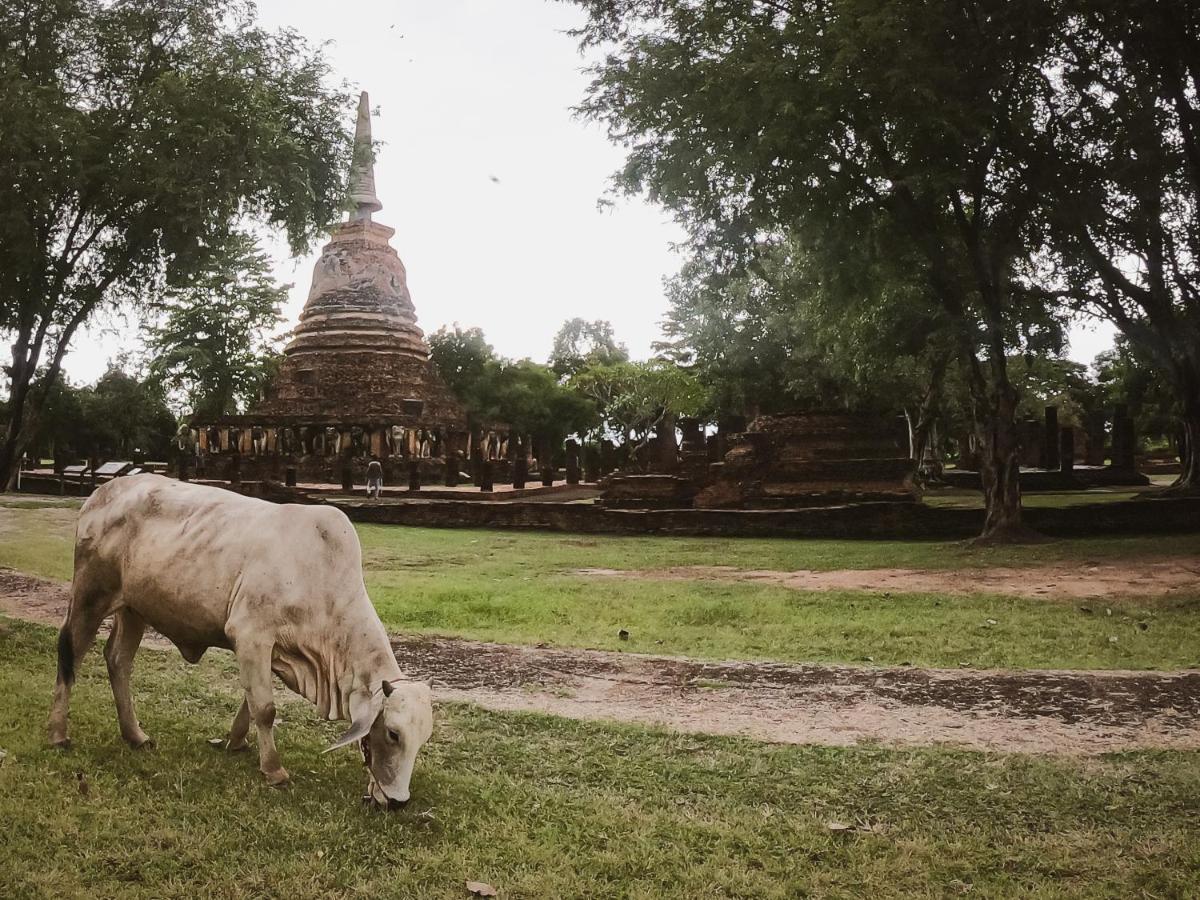 Naracha Resort Mueang Kao 외부 사진